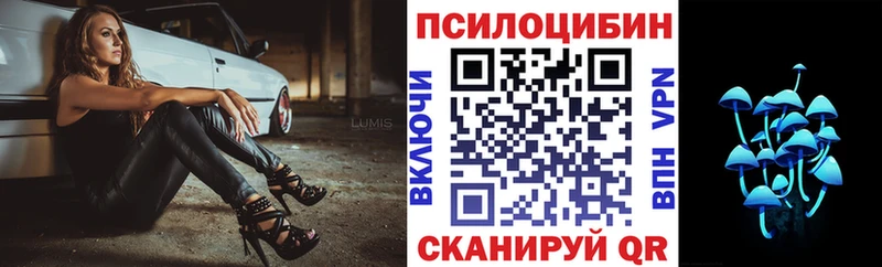 Псилоцибиновые грибы мицелий  Самара 